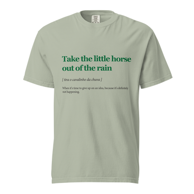 Take Your Little Horse Out of the Rain — Unisex T-Shirt
